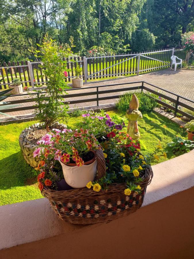 Arcadia Apartment Ozalj