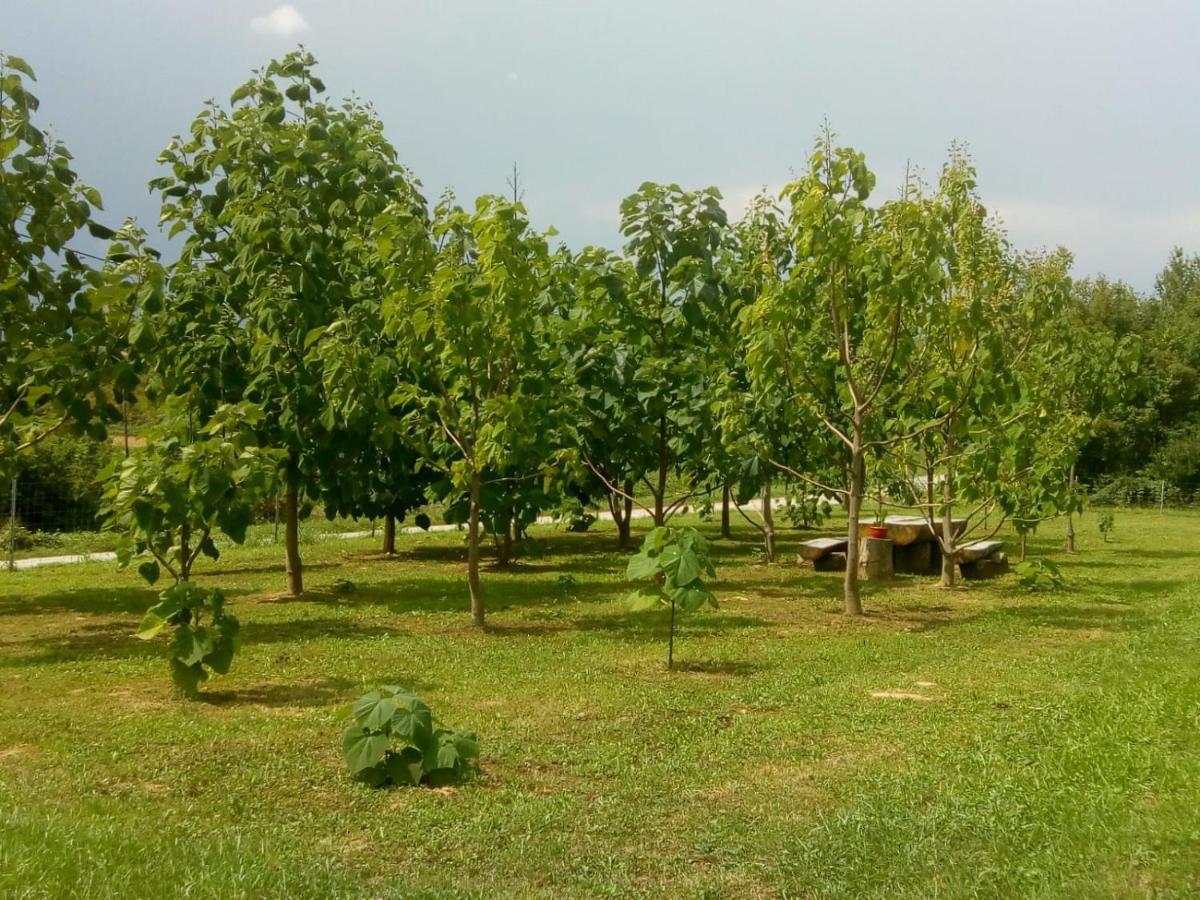 Arcadia * Ozalj